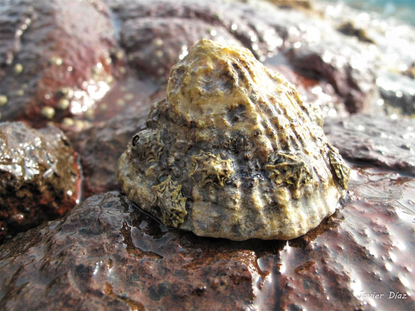 Fotos: Mucho más que una lapa