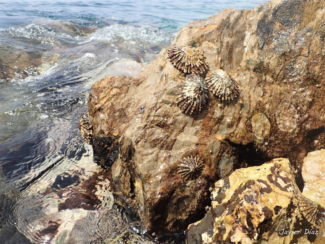 Fotos: Mucho más que una lapa