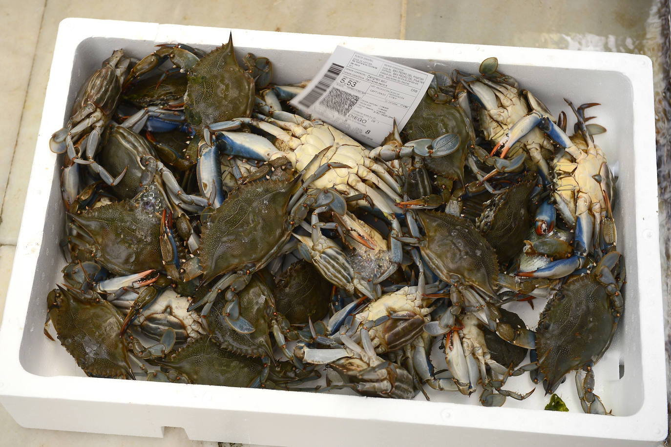 Fotos: El consejero Antonio Luengo visita la Cofradía de Pescadores de San Pedro del Pinatar