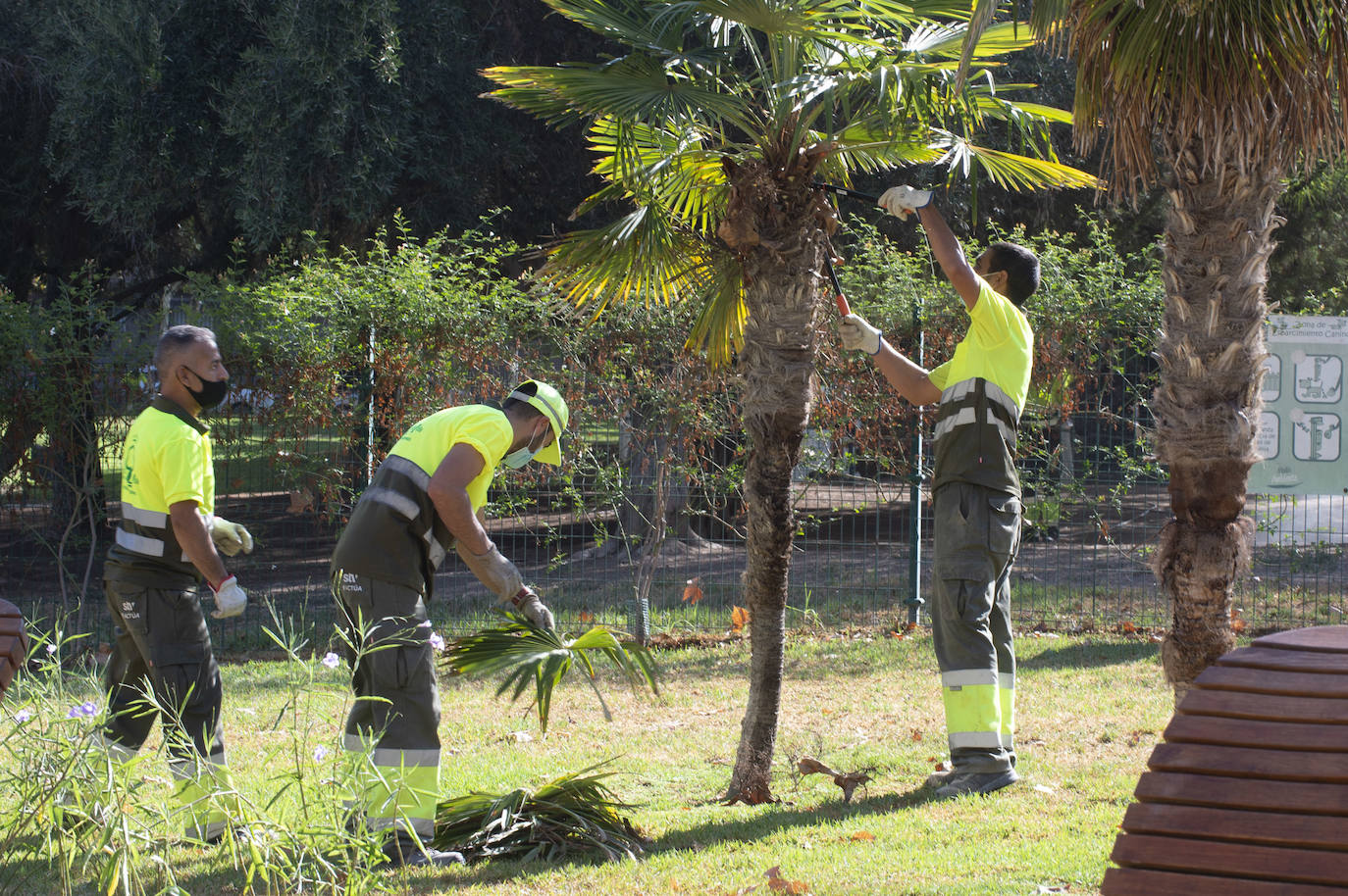 Fotos: Trabajos de limpieza y desinfección diarios en los parques de Murcia