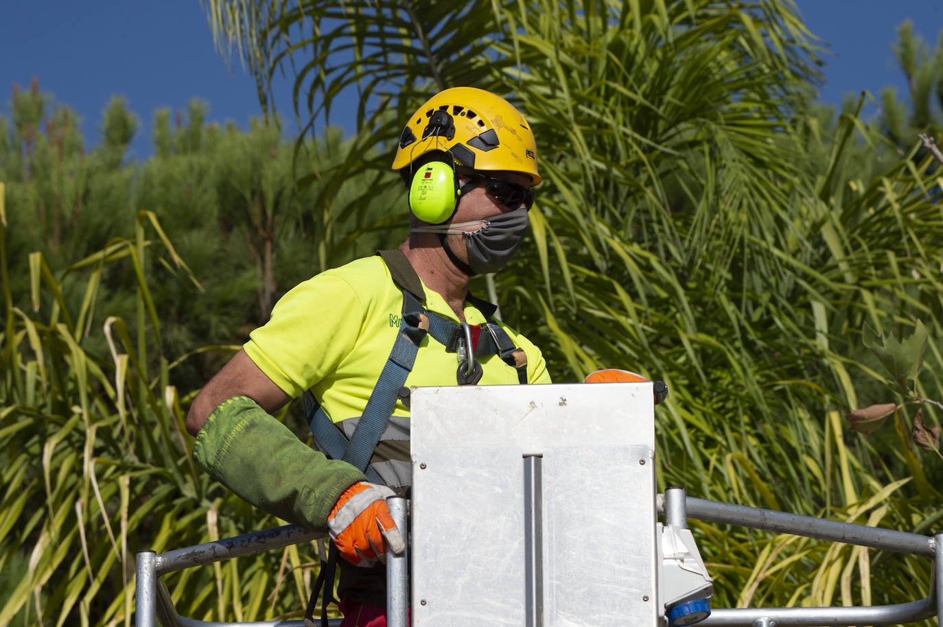 Fotos: Trabajos de limpieza y desinfección diarios en los parques de Murcia