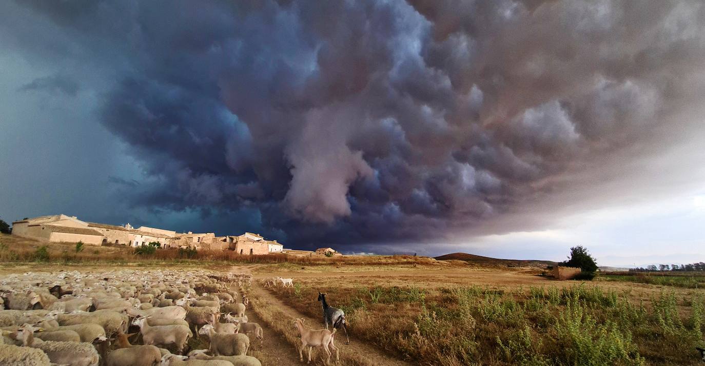 Fotos: &#039;Caminos de historia&#039;, la muestra fotográfica del pastor caravaqueño Juan Manuel Navarro