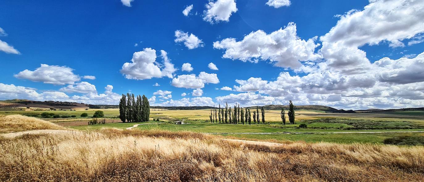 Fotos: &#039;Caminos de historia&#039;, la muestra fotográfica del pastor caravaqueño Juan Manuel Navarro