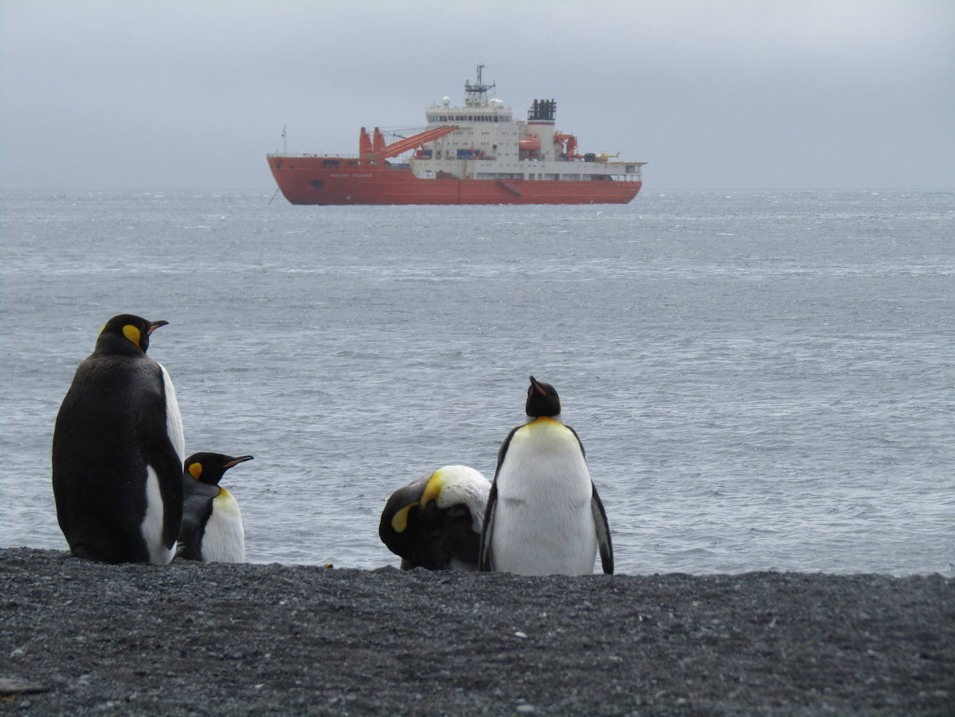 Fotos: El álbum fotográfico de &#039;Argonauta&#039;
