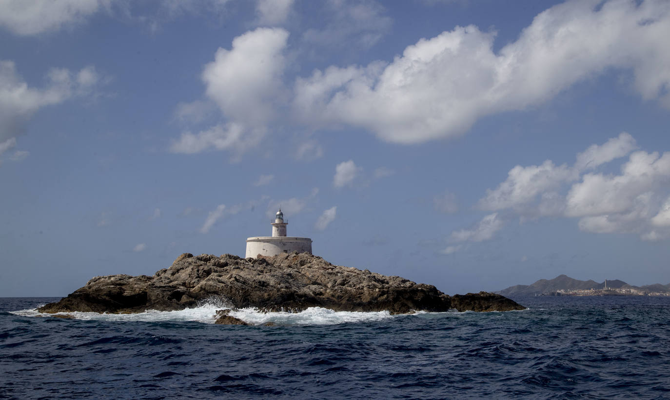 Fotos: La Comunidad de Murcia ampliará la Reserva Marina de Cabo de Palos-Islas Hormigas