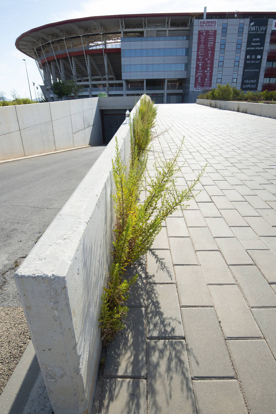 Fotos: Estado del interior y los aledaños del Enrique Roca