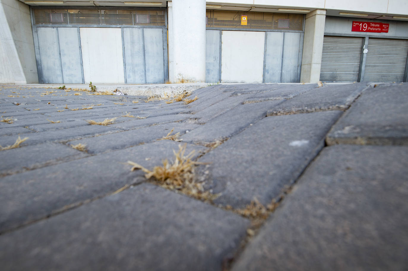 Fotos: Estado del interior y los aledaños del Enrique Roca