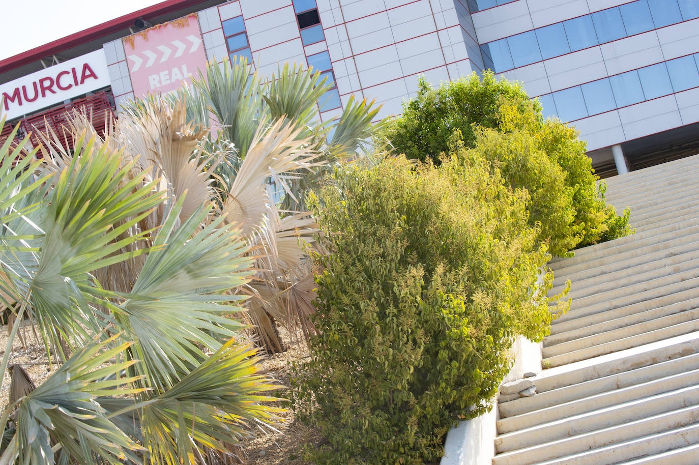 Fotos: Estado del interior y los aledaños del Enrique Roca