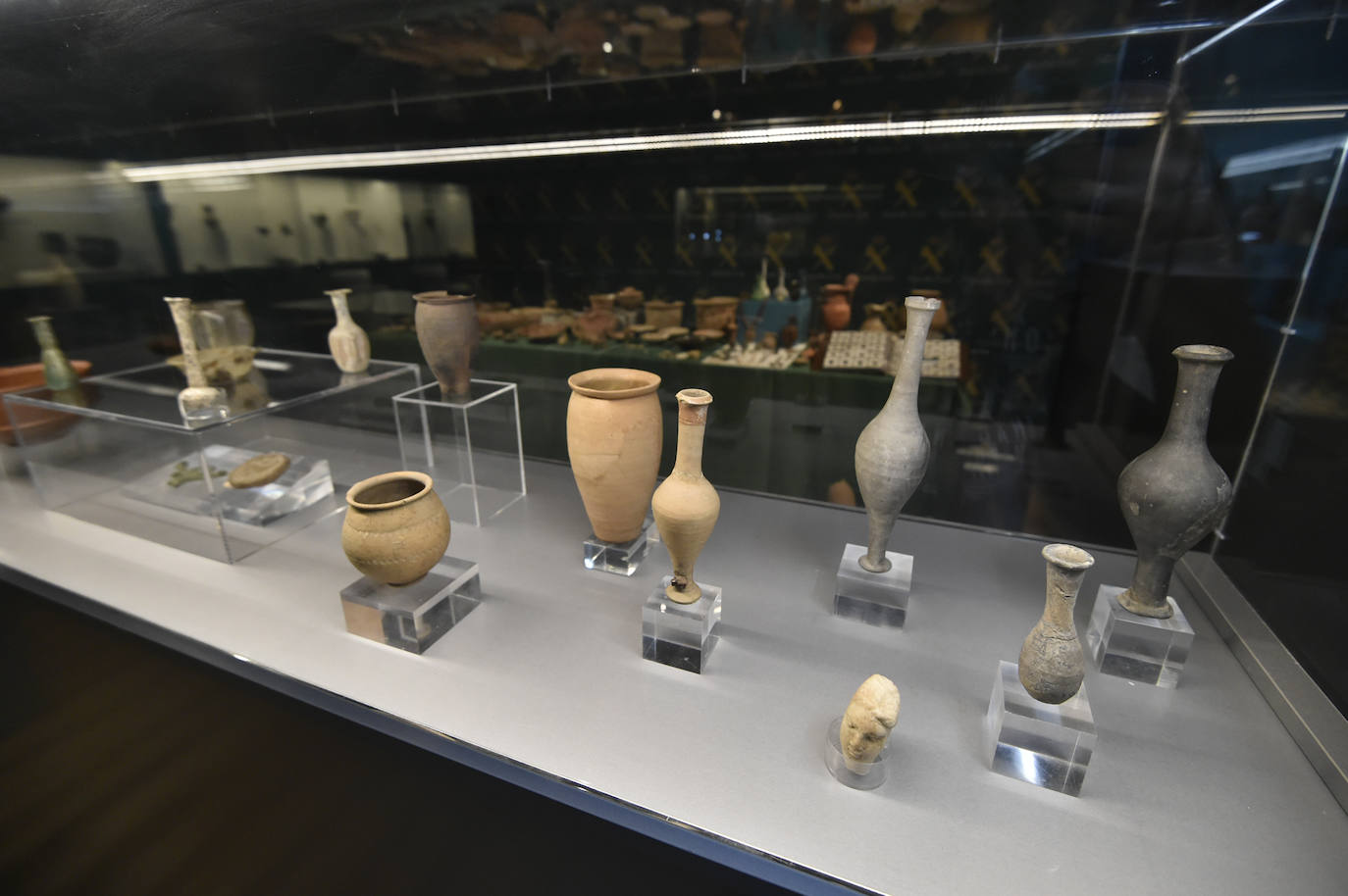 Fotos: Exposición &#039;Luchando contra el expolio&#039;