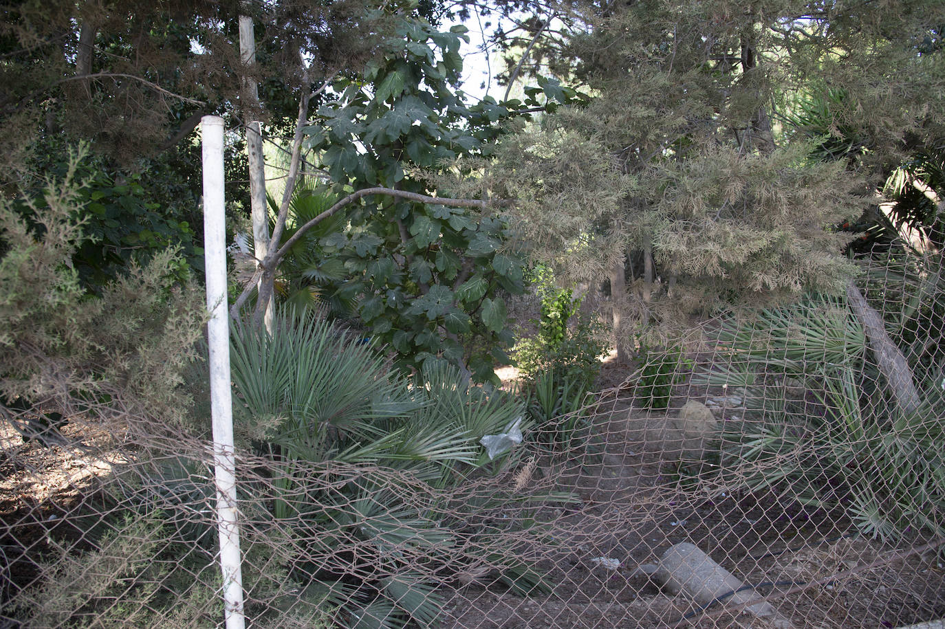 Fotos: El Huerto de Cándido, en La Palma, será un jardín botánico