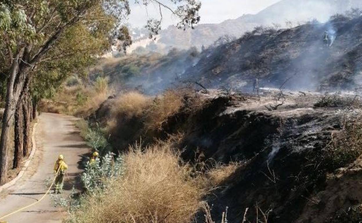 Los bomberos, refrescando la zona este sábado.