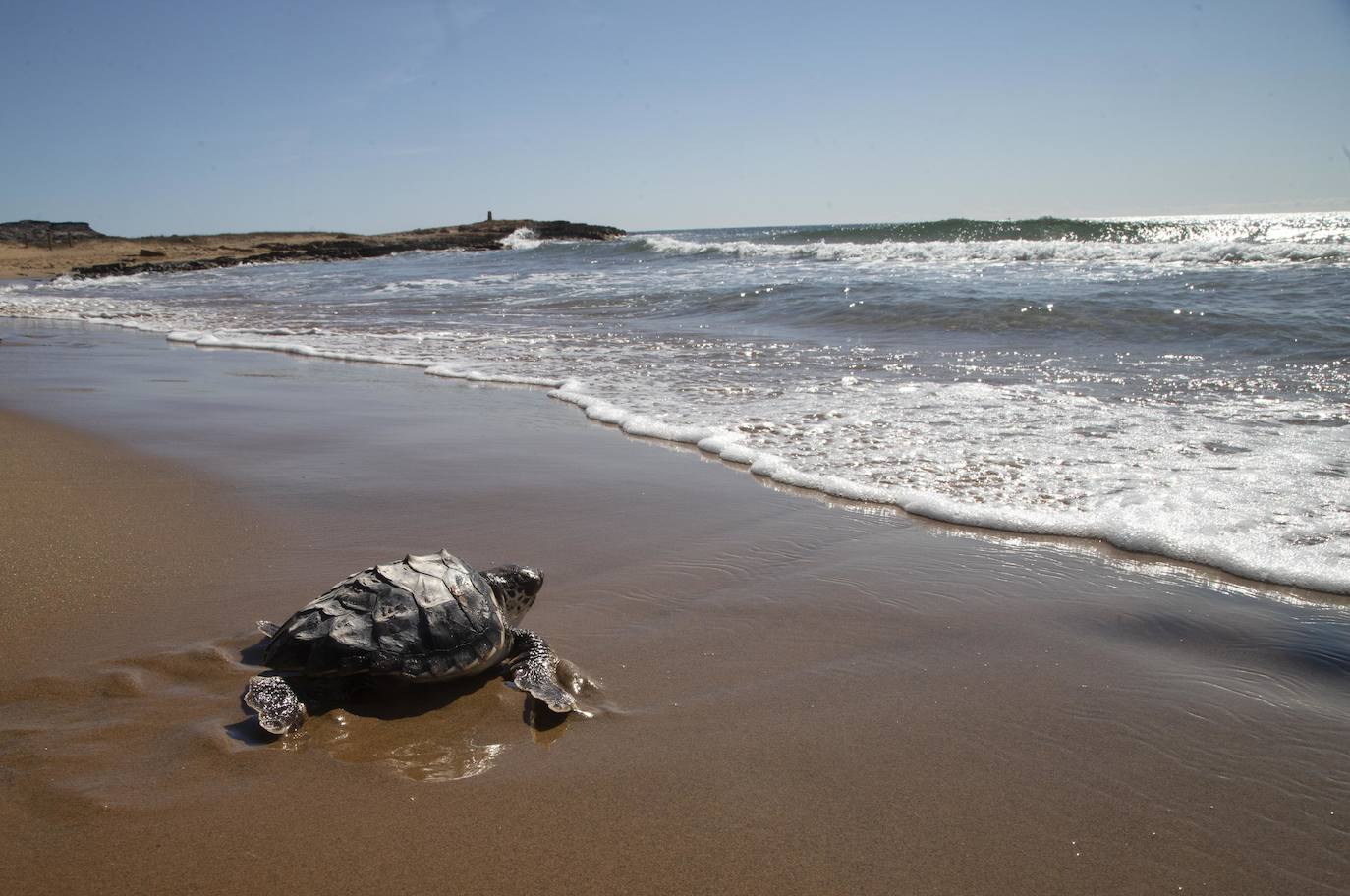 Fotos: El océano comienza en Calblanque