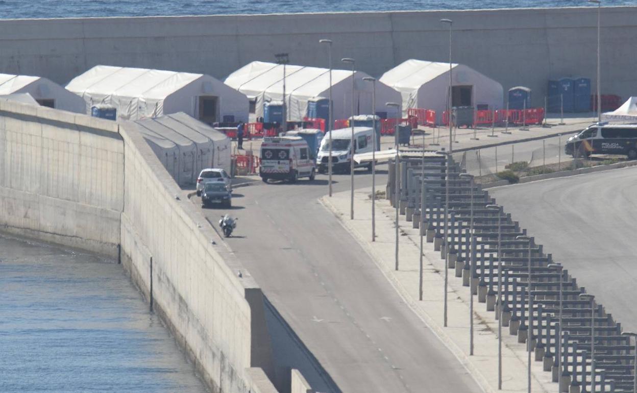 Dispositivo de atención a inmigrantes ilegales en Escombreras, este miércoles.
