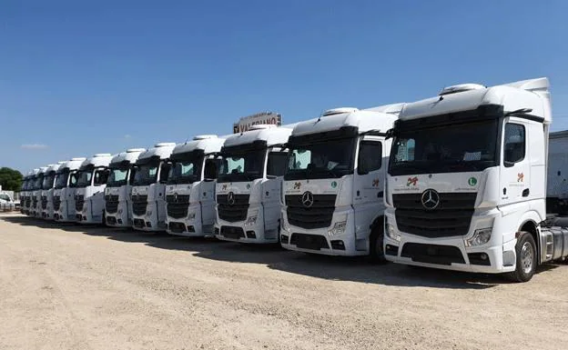 Comercial Dimovil renueva la flota de cabezas tractoras de Transportes Las Maravillas