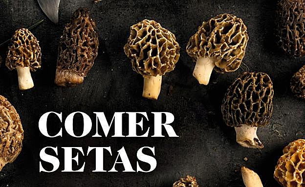 Detalle de la portada del libro.