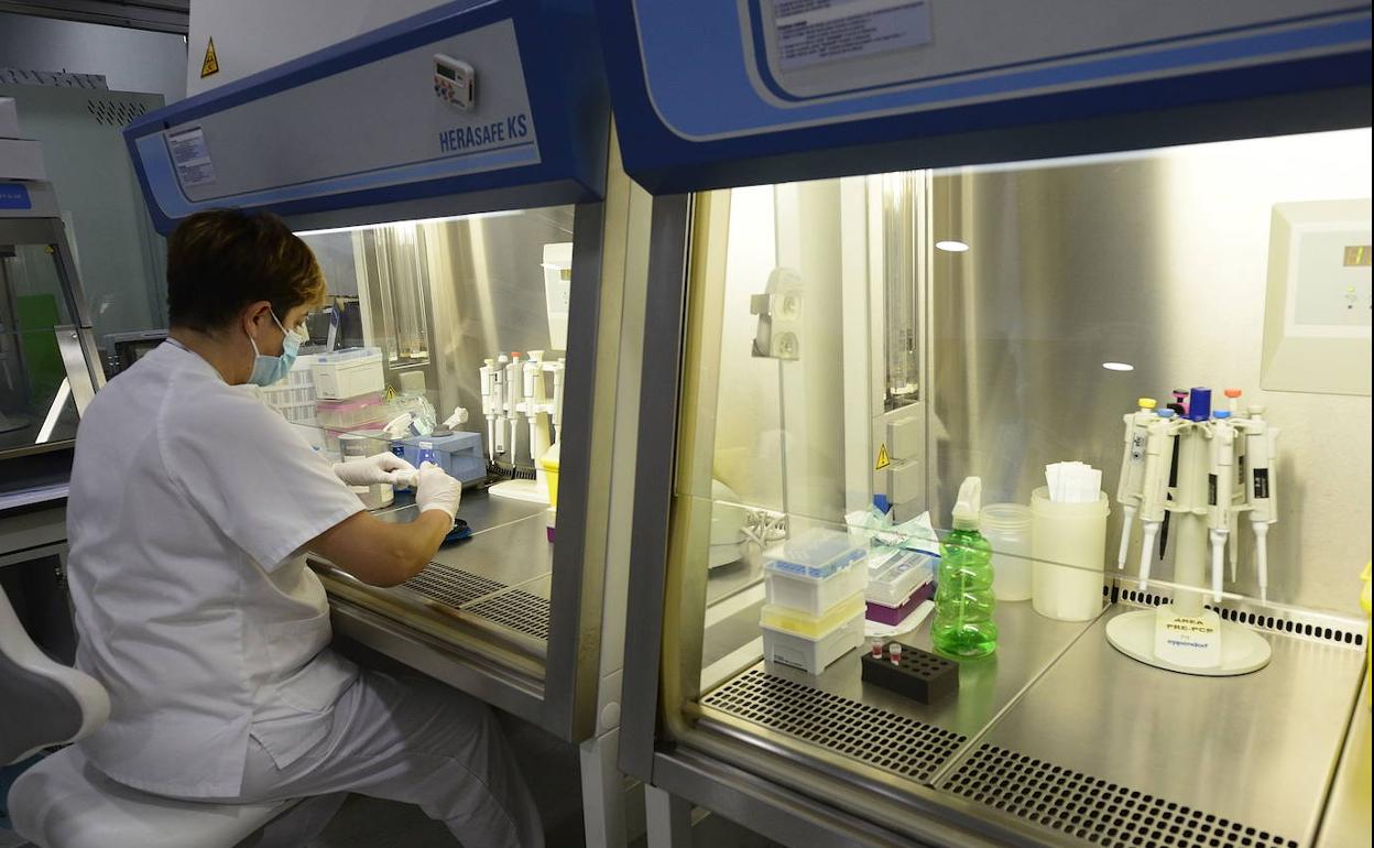 El laboratorio de análisis de PCR de La Arrixaca, en una fotografía de archivo.