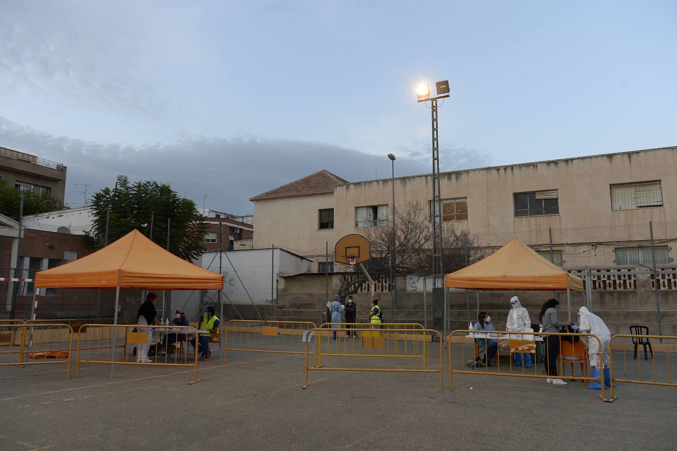 Fotos: A la caza del virus en Totana