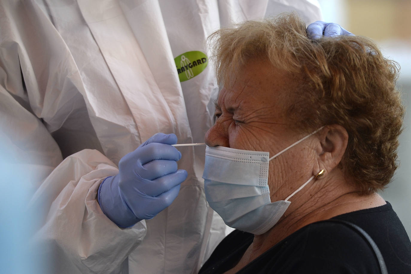 Fotos: A la caza del virus en Totana