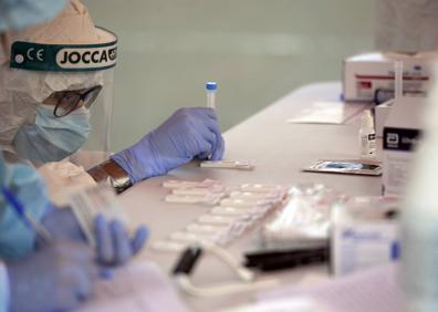 Imagen secundaria 1 - A la caza del virus en Totana