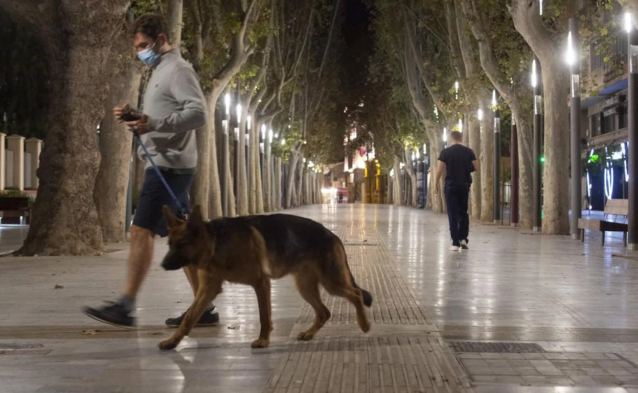Un joven con su perro en horario del toque de queda en Murcia. 