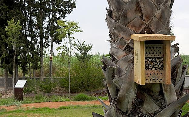 'Hotel' de insectos.