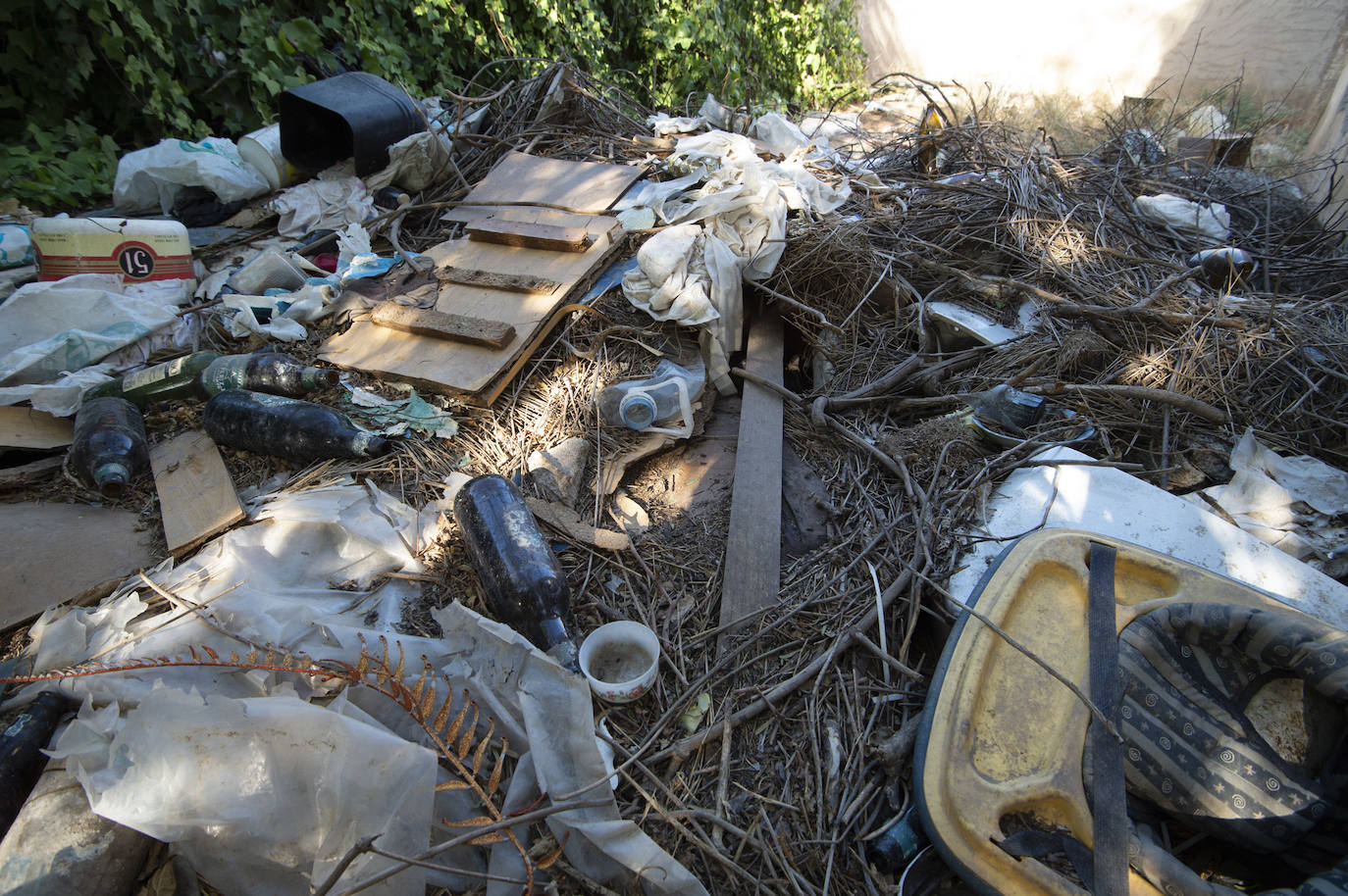 Fotos: Vecinos de Churra viven rodeados de solares con ratas