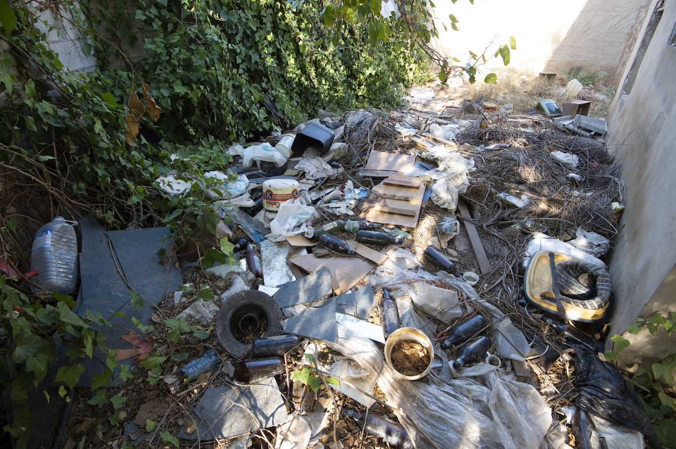 Fotos: Vecinos de Churra viven rodeados de solares con ratas