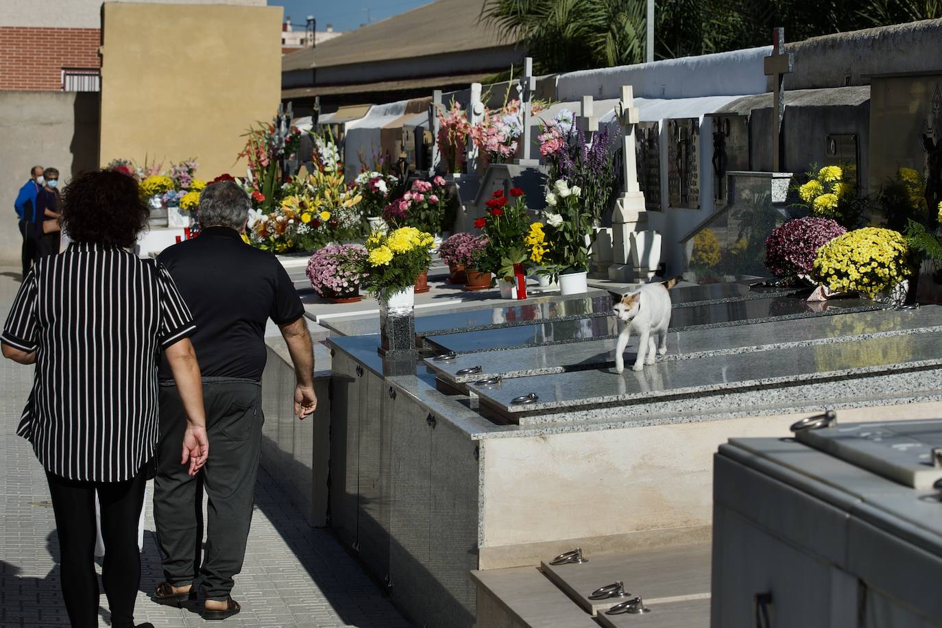 Fotos: Visitas a &#039;cuentagotas&#039; en los cementerios de Murcia