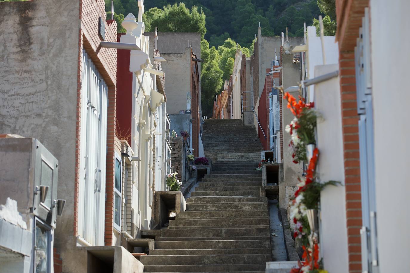 Fotos: Visitas a &#039;cuentagotas&#039; en los cementerios de Murcia