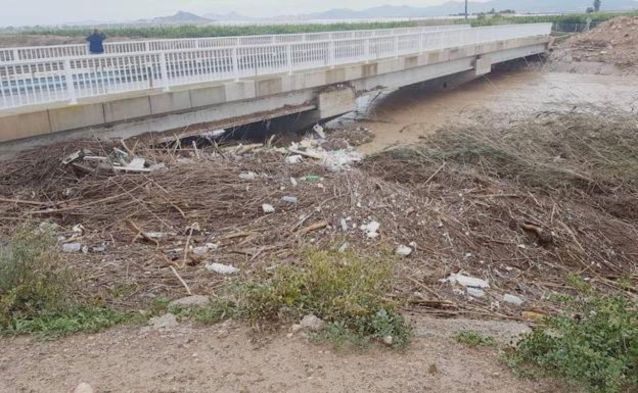 Canal de drenaje D7 en Los Alcázares. 
