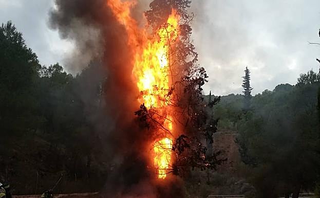El fuego devora un ciprés tras el accidente de tráfico.