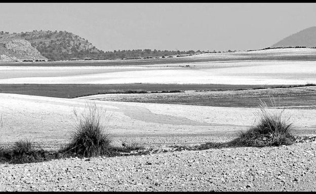 Zarcilla de Ramos, una de las pedanías donde trabaja la Fundación Espartaria, que tiene en proyecto recuperar la memoria del agua de estas poblaciones.