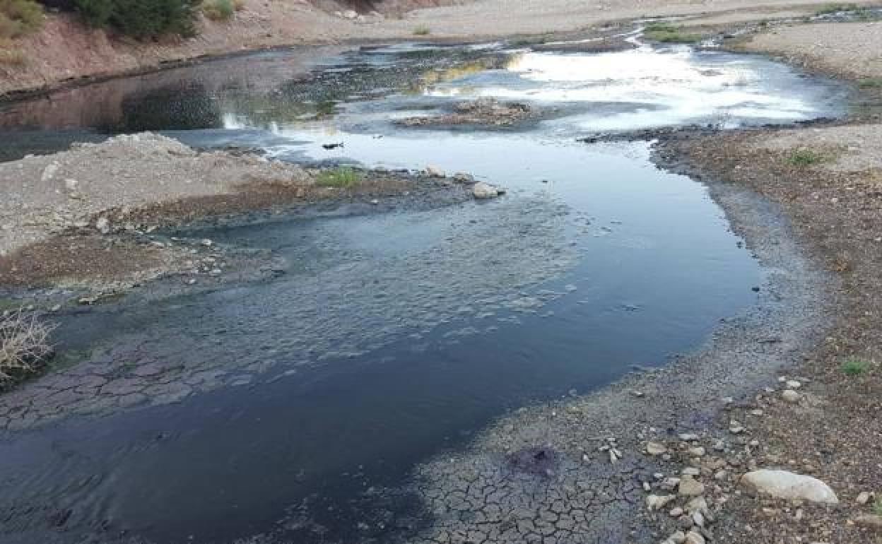 Vertido de aguas fecales en la rambla de Chirivel. 