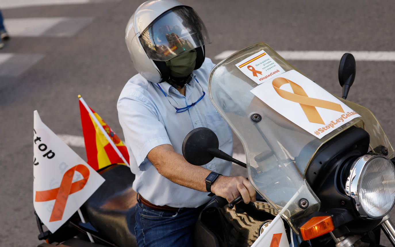Fotos: La &#039;marea naranja&#039; recorre el centro de Murcia contra la &#039;ley Celaá&#039;