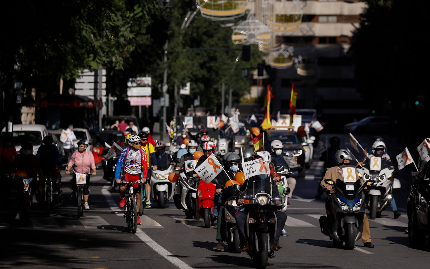 Fotos: La &#039;marea naranja&#039; recorre el centro de Murcia contra la &#039;ley Celaá&#039;