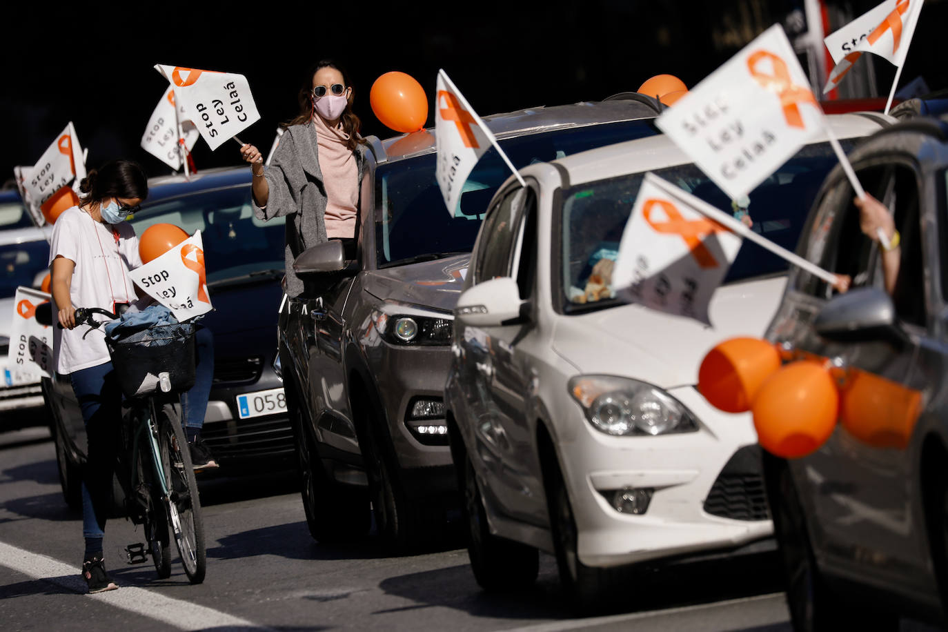 Fotos: La &#039;marea naranja&#039; recorre el centro de Murcia contra la &#039;ley Celaá&#039;