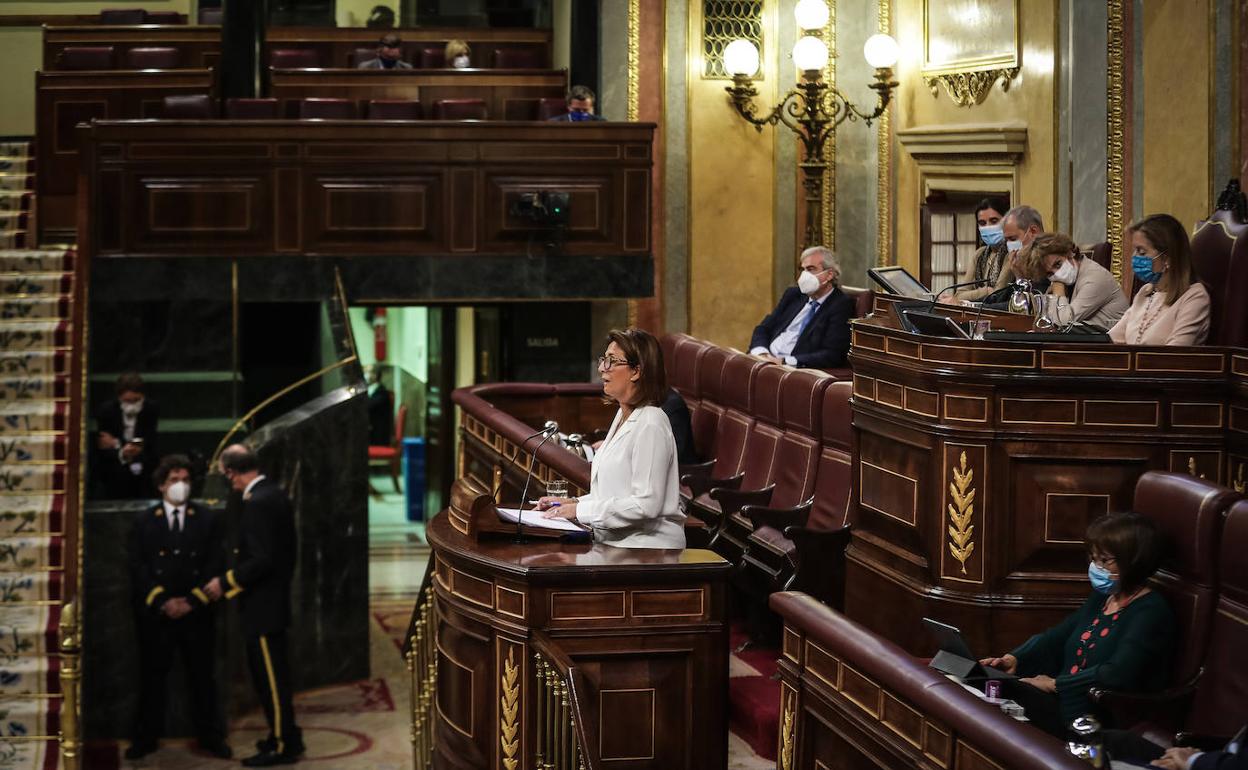 Isabel Borrego, este martes, en el Congreso.