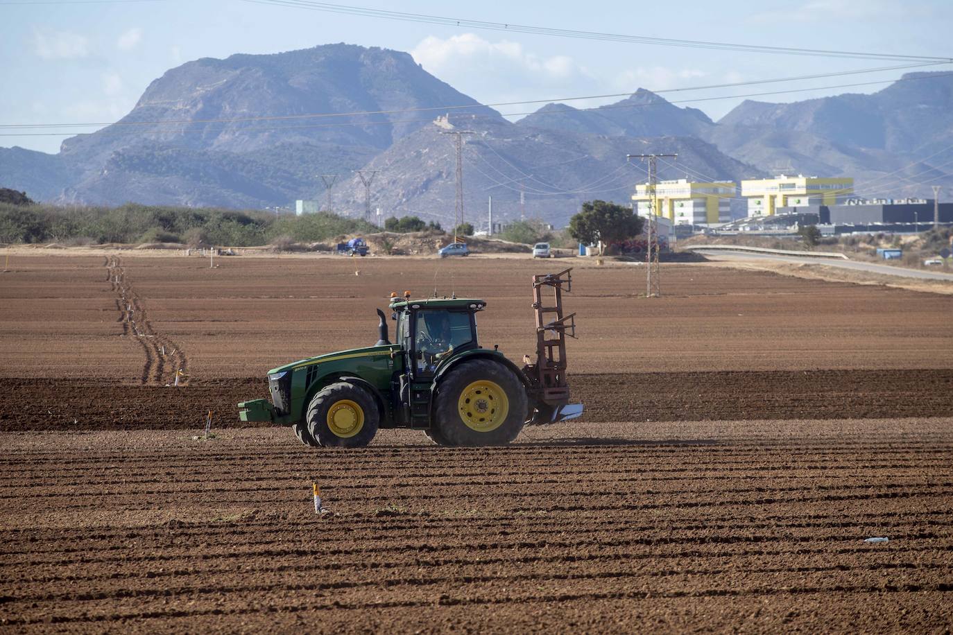 Fotos: Jornaleros del campo de Cartagena trabajan durante el día de la huelga