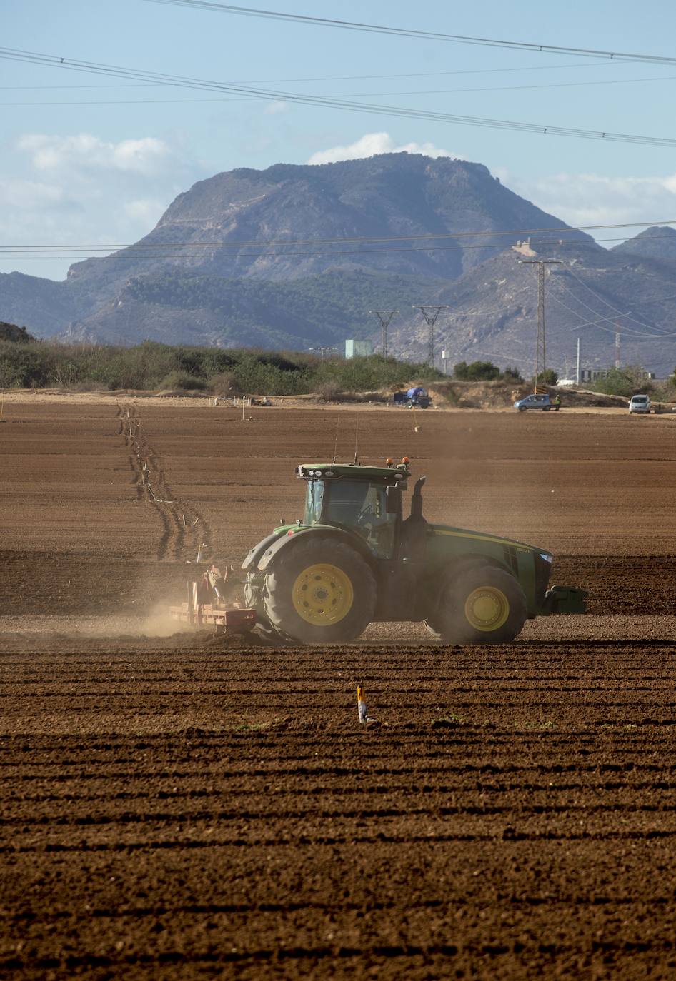 Fotos: Jornaleros del campo de Cartagena trabajan durante el día de la huelga
