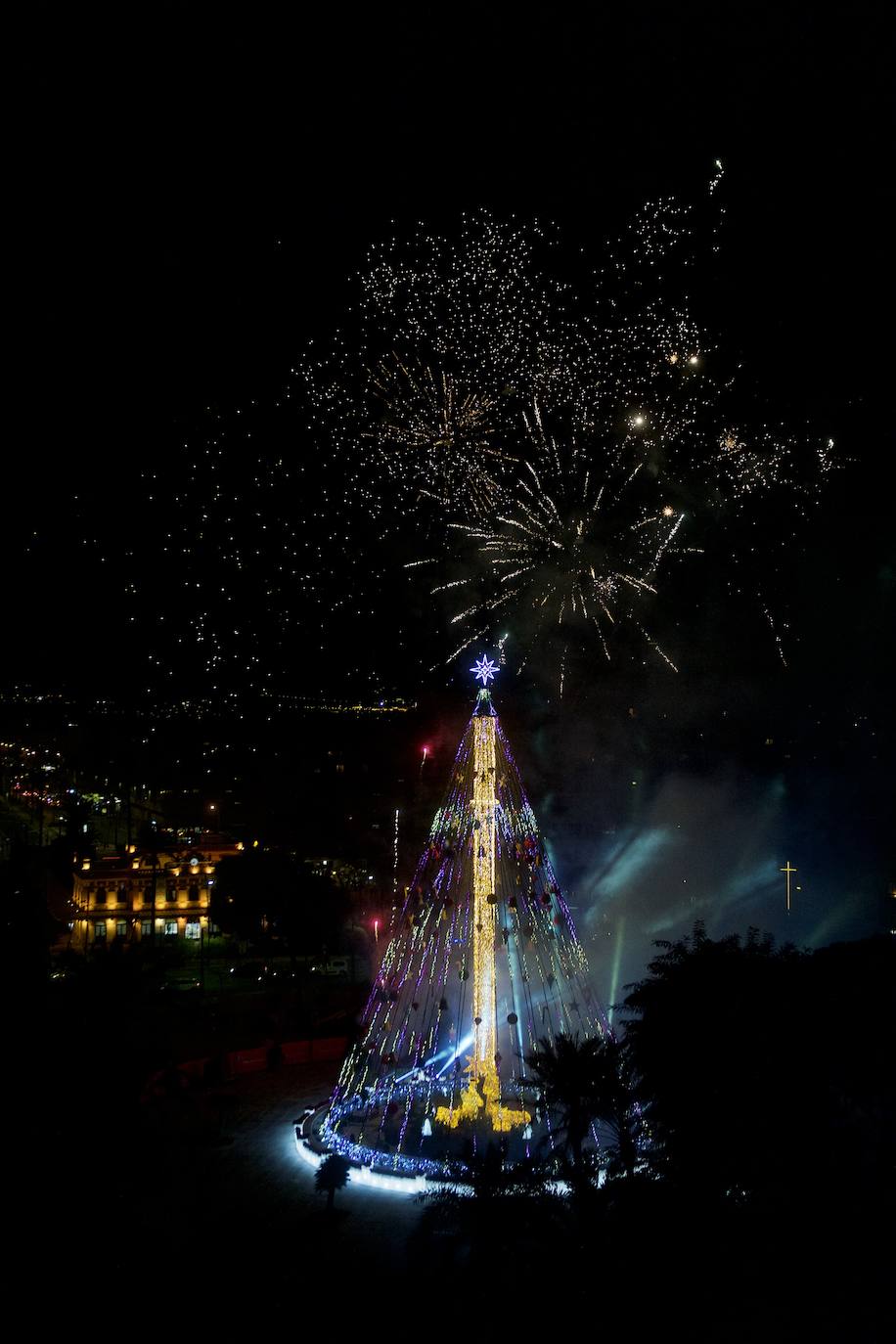 Fotos: El árbol de Navidad de Murcia ya brilla en la Plaza Circular