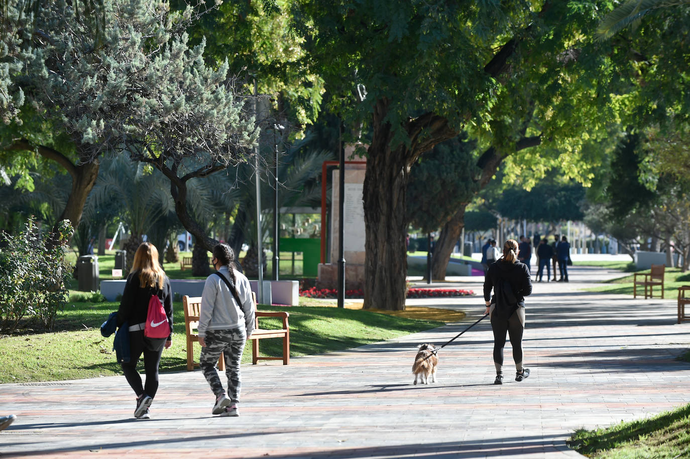 Fotos: El jardín Teniente Flomesta de Murcia estrena zonas de recreo y descanso