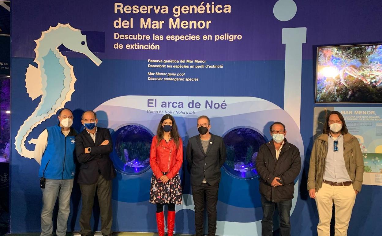 El nuevo espacio del Mar Menor en el Oceanogràfic, durante su inauguración.