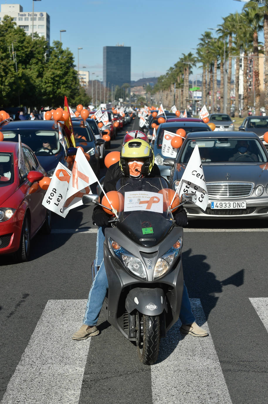 Fotos: Nueva protesta en Murcia contra la &#039;ley Celaá&#039;