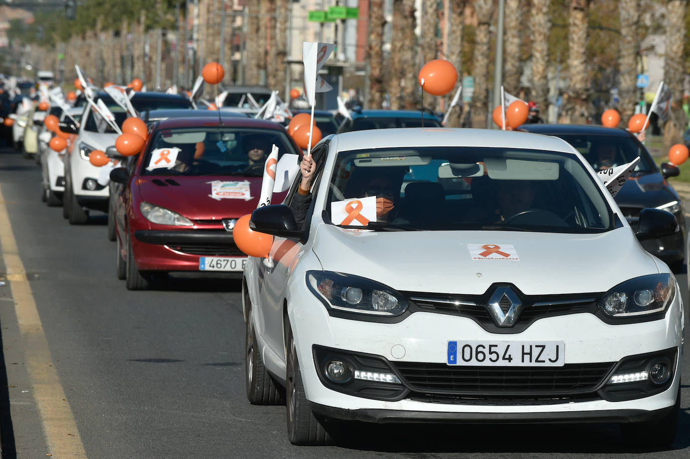 Fotos: Nueva protesta en Murcia contra la &#039;ley Celaá&#039;