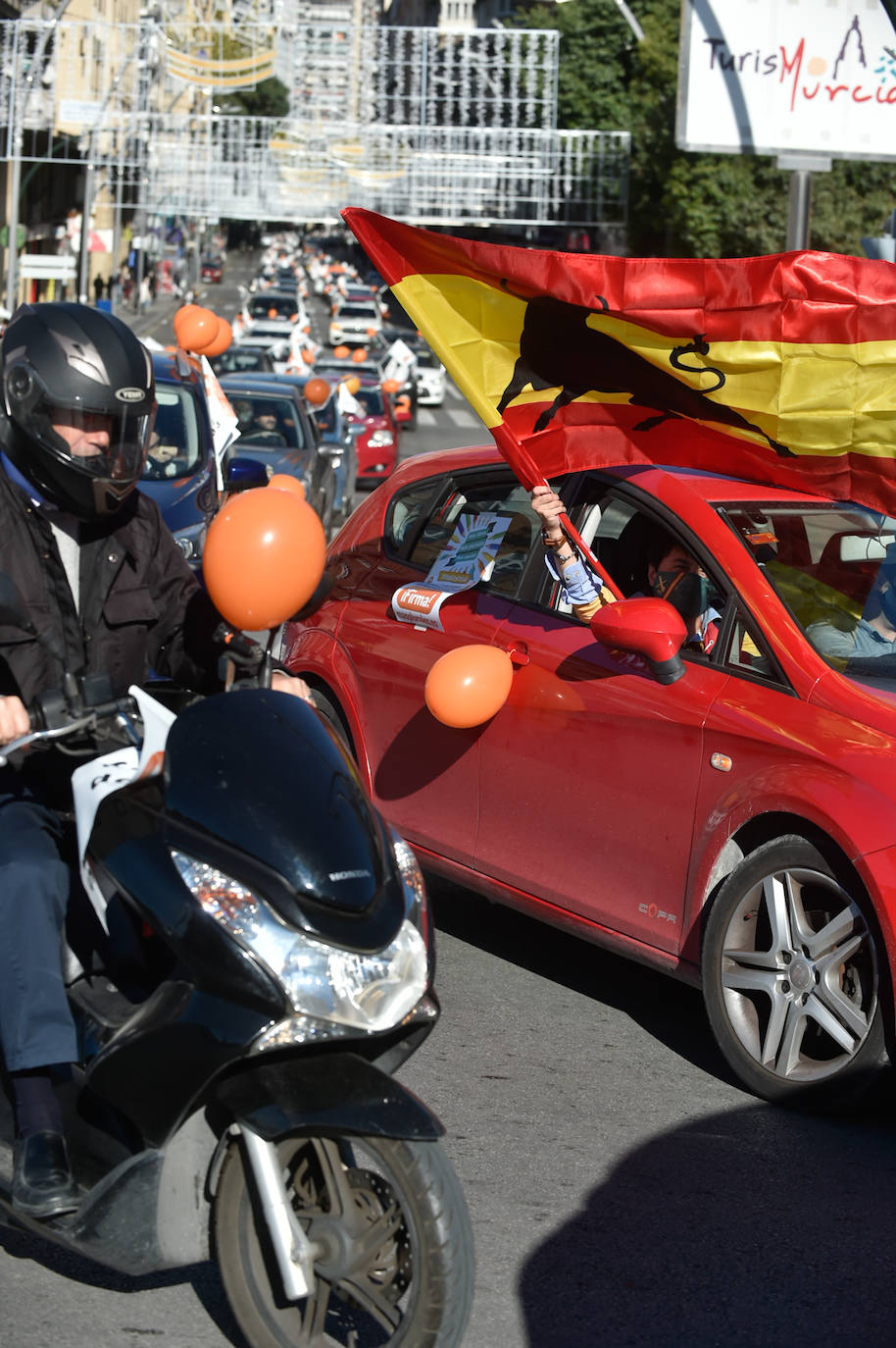 Fotos: Nueva protesta en Murcia contra la &#039;ley Celaá&#039;