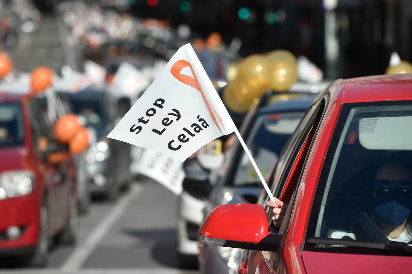 Fotos: Nueva protesta en Murcia contra la &#039;ley Celaá&#039;