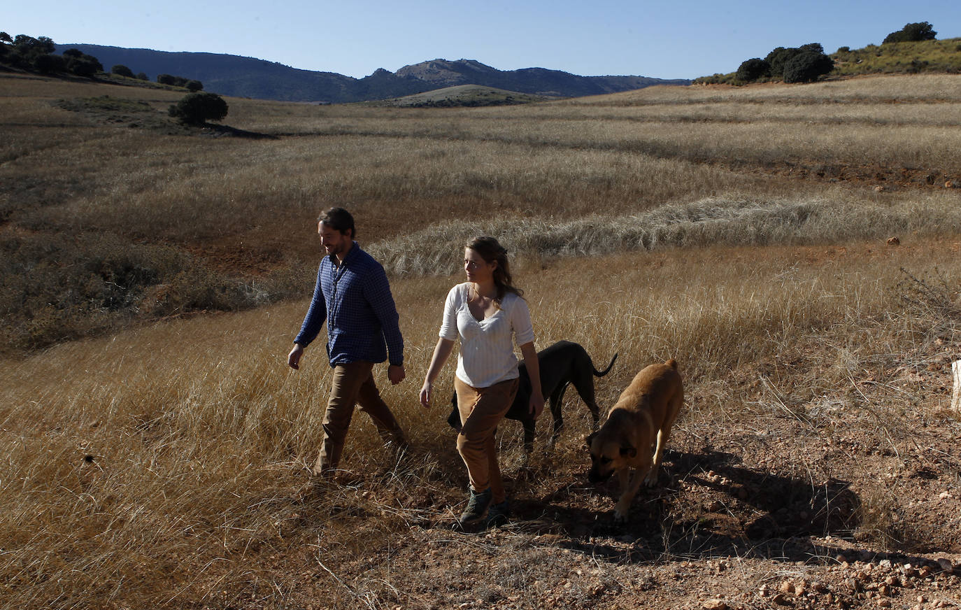 Fotos: Una nueva agricultura que cura la tierra