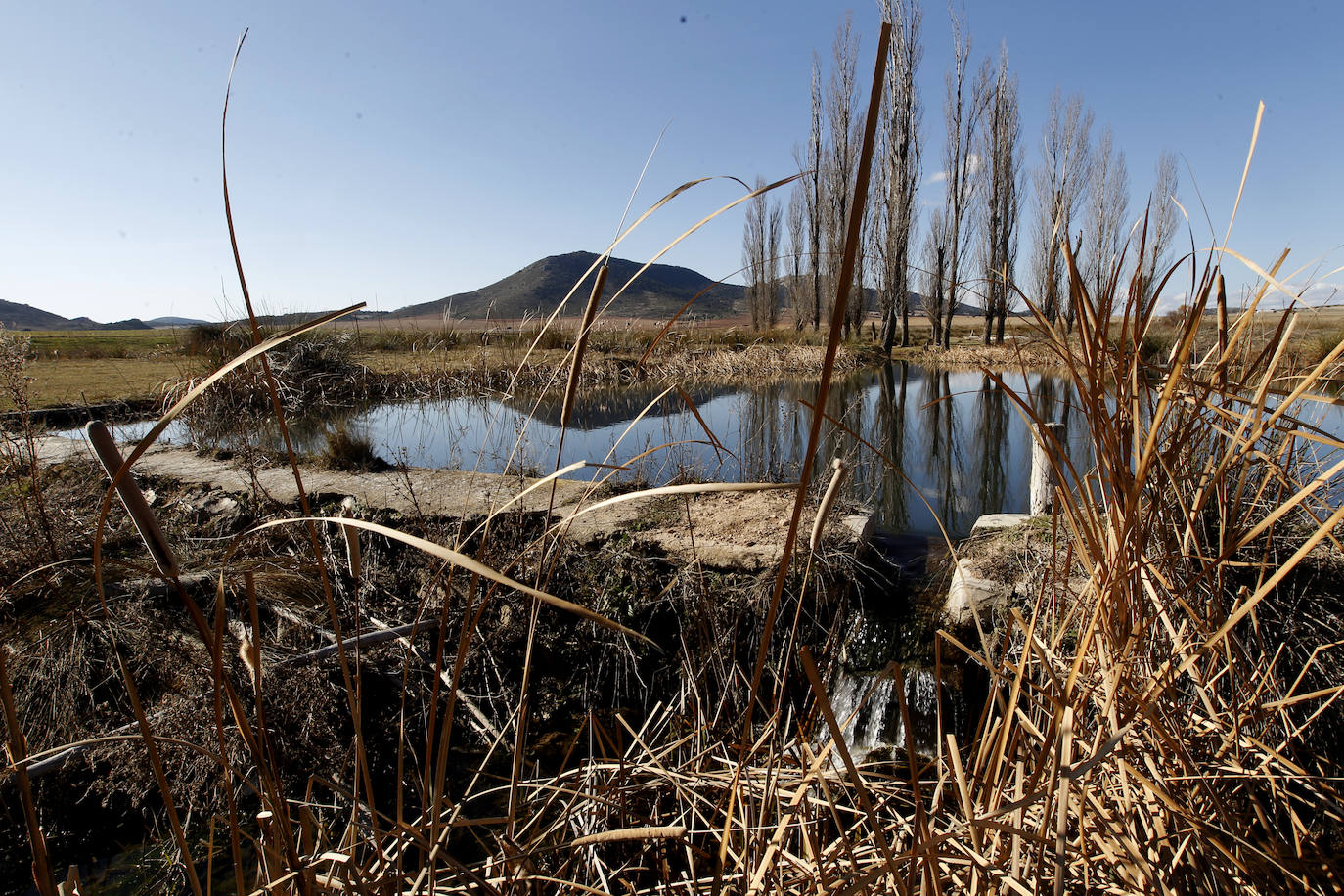 Fotos: Una nueva agricultura que cura la tierra