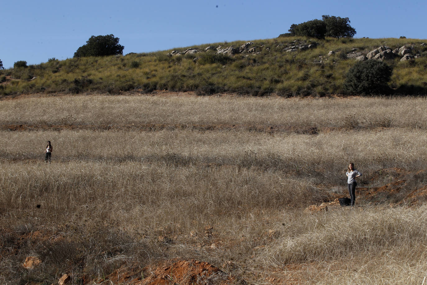 Fotos: Una nueva agricultura que cura la tierra