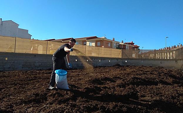 Compost generado por el tratamiento de restos de poda de viñas. 